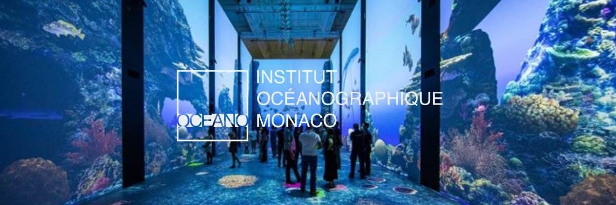 The Fish! Collection at the Oceanographic Museum of Monaco.