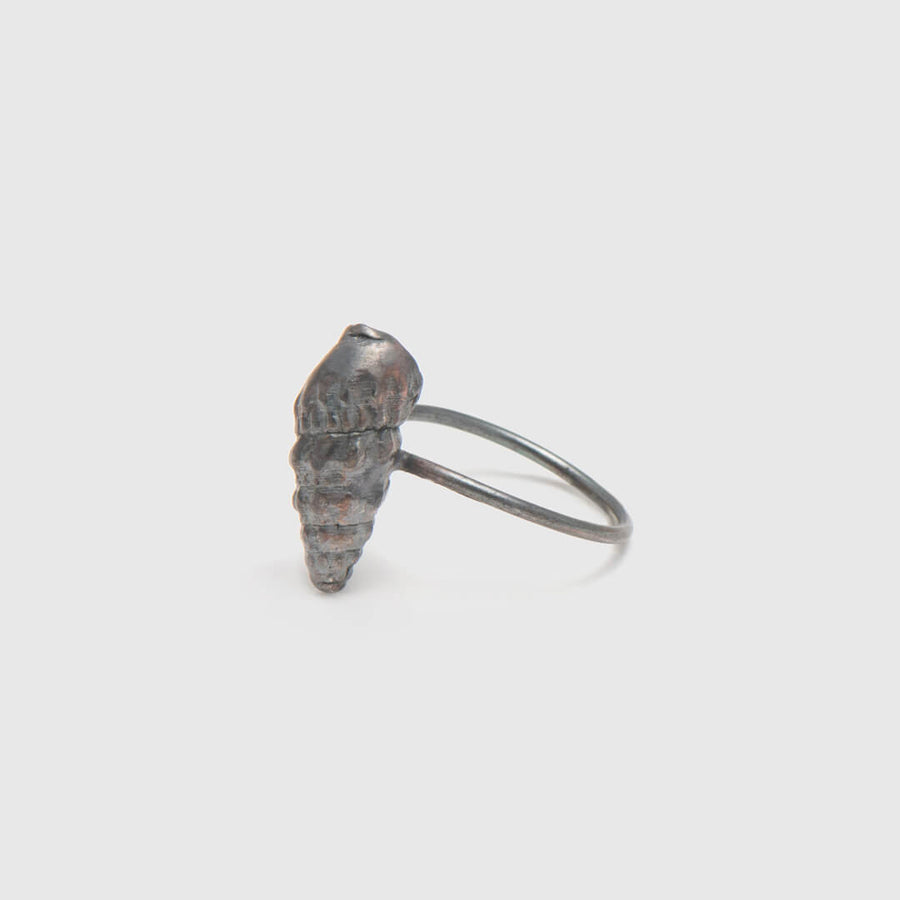 Wild seashell - δαχτυλίδι - ασήμι 925 - ιριδίζουσα οξείδωση