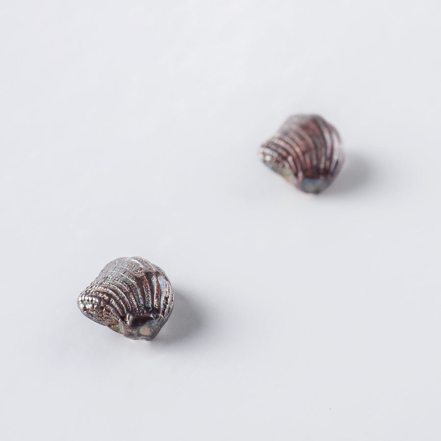 Wild oyster - σκουλαρίκια stud - ασήμι 925 - ιριδίζουσα οξείδωση