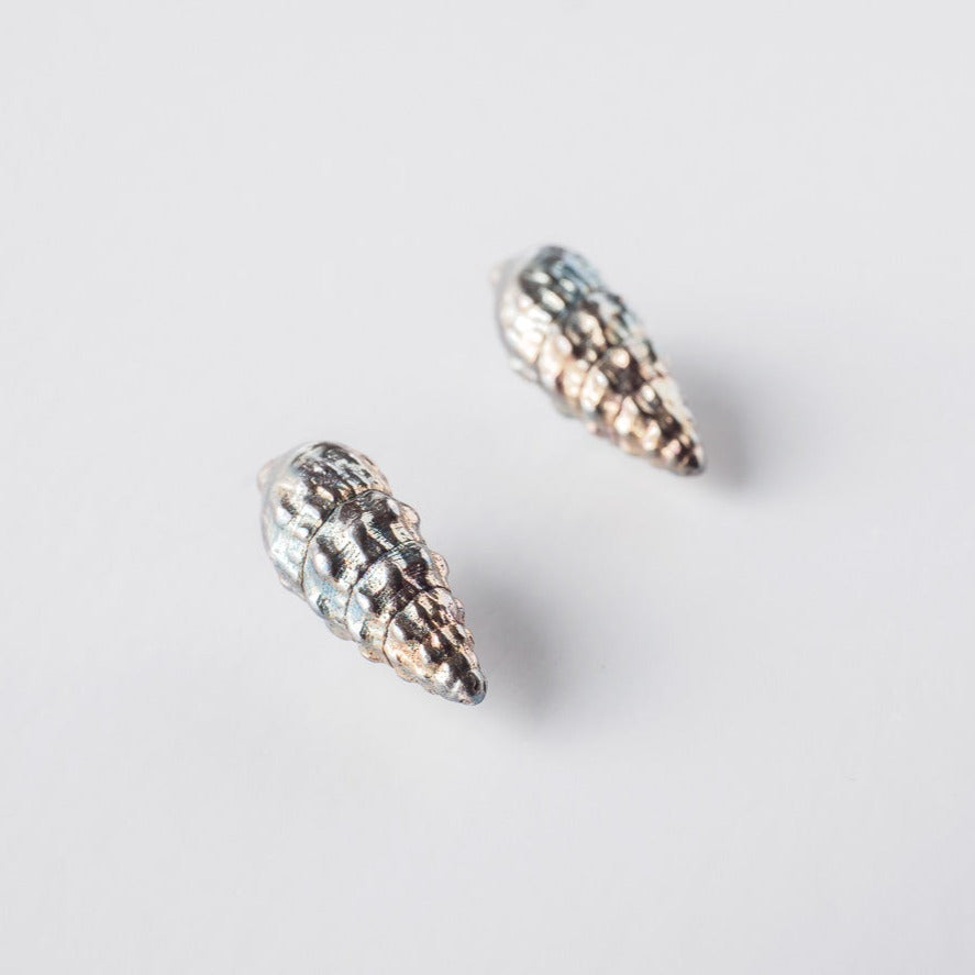 Wild seashell - stud earrings - silver 925 - rainbow patina