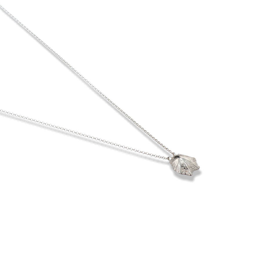 Rock limpet - chain necklace - silver 925
