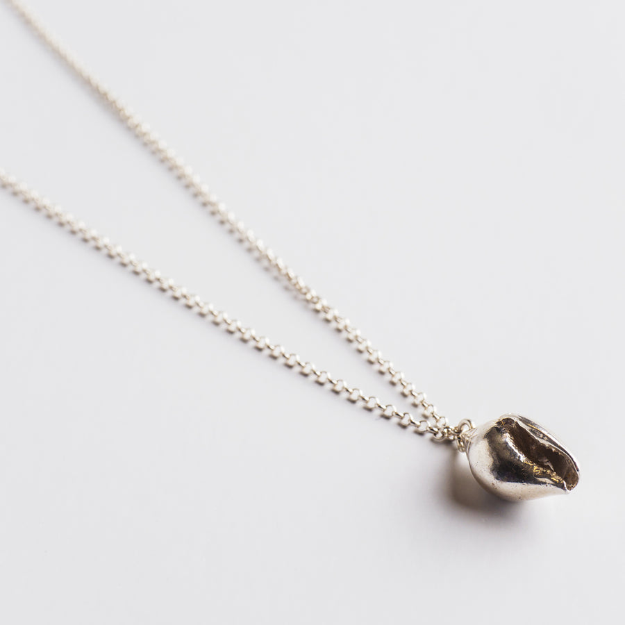 Classic seashell - μακρύ κολιέ αλυσίδα - ασήμι 925