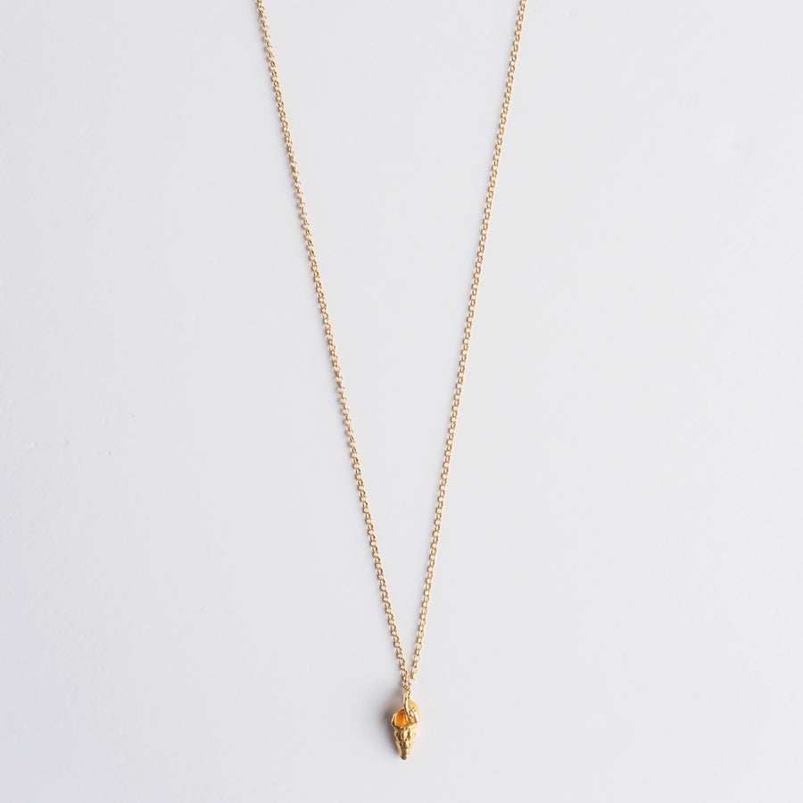 Wild seashell - long chain necklace - silver 925 - gold plated