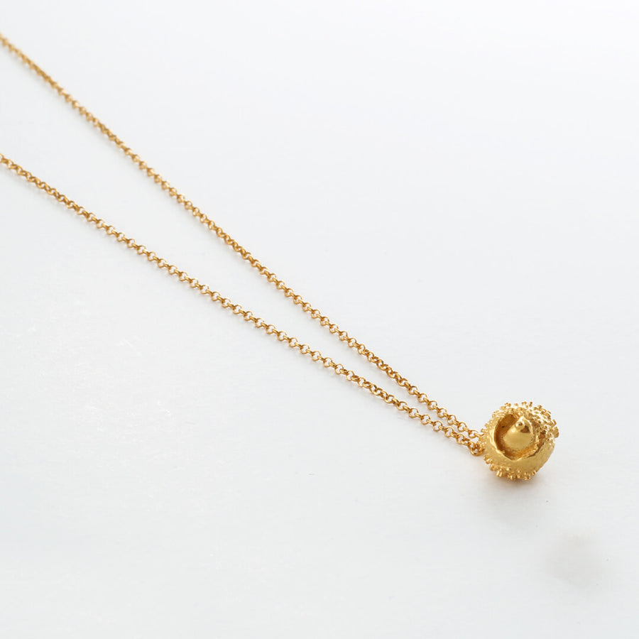 Water oak nut - sparkling necklace - silver 925 - gold plated
